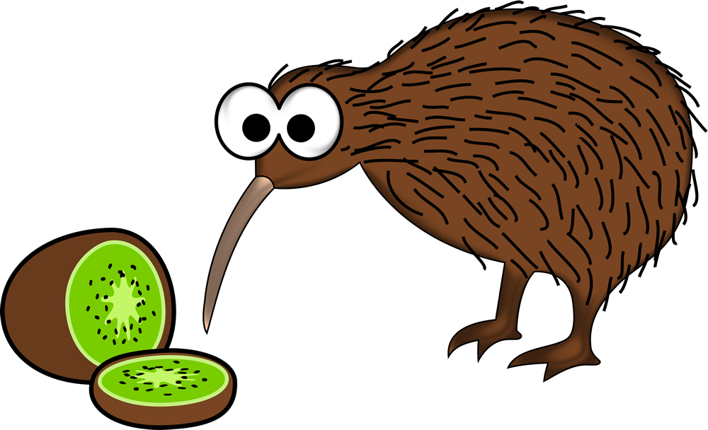 new zealand kiwi